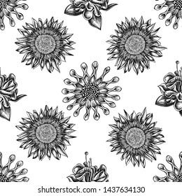 Seamless pattern with black and white african daisies, fuchsia, king protea