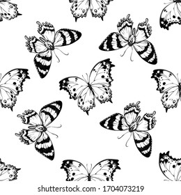 Seamless pattern with black and white alcides agathyrsus, forest mother-of-pearl
