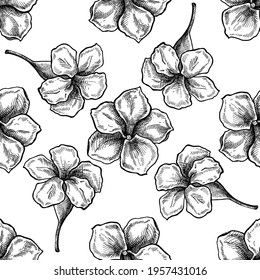 Seamless pattern with black and white allamanda