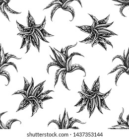 Seamless pattern with black and white aloe