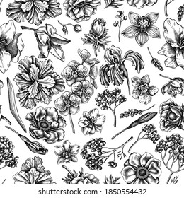 Seamless pattern with black and white anemone, lavender, rosemary everlasting, phalaenopsis, lily, iris