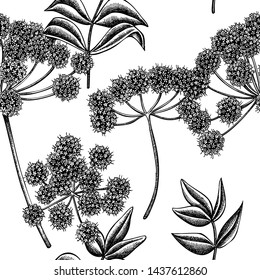 Seamless pattern with black and white angelica