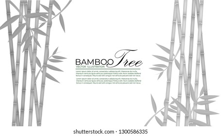 Seamless pattern in black and white of the bamboo stalks, Vector illustration of bamboo, design of Chinese and Japanese trees,  Monochrome trees wallpaper for cards and web.