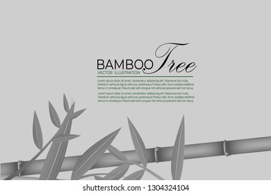 Seamless pattern in black and white of the bamboo stalks, Vector illustration of bamboo, design of Chinese and Japanese trees,  Monochrome trees wallpaper for cards and web.