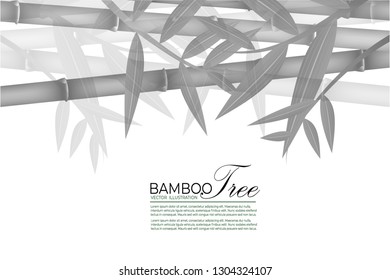 Seamless pattern in black and white of the bamboo stalks, Vector illustration of bamboo, design of Chinese and Japanese trees,  Monochrome trees wallpaper for cards and web.