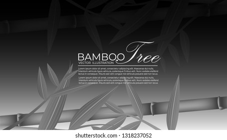 Seamless pattern in black and white of the bamboo stalks, Vector illustration of bamboo, design of Chinese and Japanese trees,  Monochrome trees wallpaper for cards and web.