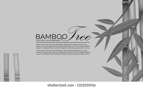 Seamless pattern in black and white of the bamboo stalks, Vector illustration of bamboo, design of Chinese and Japanese trees,  Monochrome trees wallpaper for cards and web.