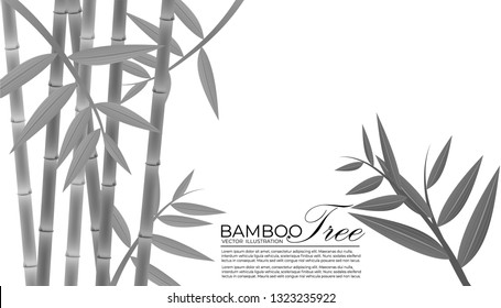 Seamless pattern in black and white of the bamboo stalks, Vector illustration of bamboo, design of Chinese and Japanese trees,  Monochrome trees wallpaper for cards and web.