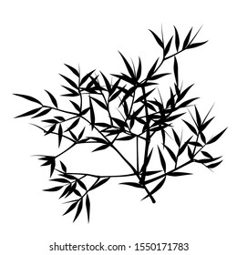 Seamless pattern in black and white of the bamboo, Vector illustration of bamboo, design of Chinese and Japanese trees,  Monochrome trees wallpaper for cards and web.