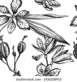 Seamless pattern with black and white blackberry lily