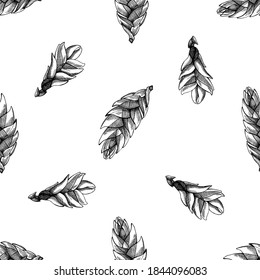 Seamless pattern with black and white bromeliad