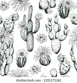 Seamless pattern with black and white cactus plants and flowers. Hand drawn vector.