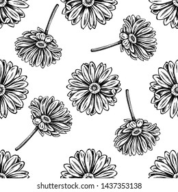 Seamless pattern with black and white calendula