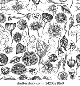 Seamless pattern with black and white black caraway, feather grass, helichrysum, lotus, lunaria, physalis