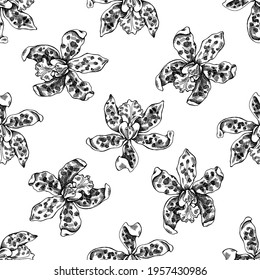 Seamless pattern with black and white cattleya aclandiae