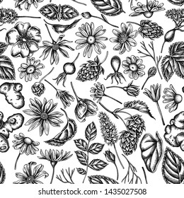 Seamless pattern with black and white celandine, chamomile, dog rose, hop, jerusalem artichoke, peppermint