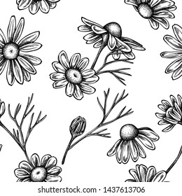 Seamless pattern with black and white chamomile