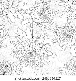 Seamless pattern with black and white Chrysanthemum flowers. Hand drawn vector illustration.