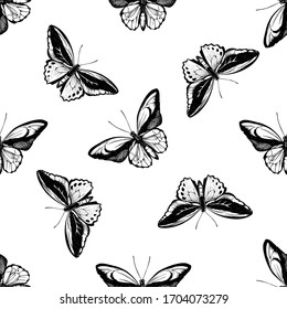 Seamless pattern with black and white common green birdwing, wallace's golden birdwing