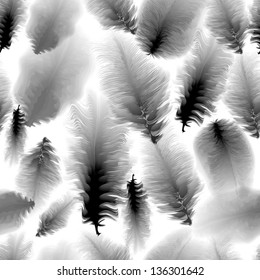 Seamless pattern of black and white feathers