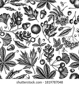 Seamless pattern with black and white fern, dog rose, rowan, ginkgo, maple, oak, horse chestnut, chestnut, hawthorn