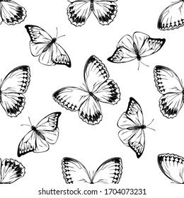 Seamless pattern with black and white great orange-tip, jungle queens