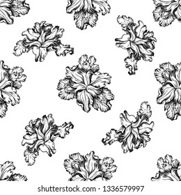 Seamless pattern with black and white iris japonica