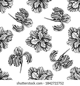 Seamless pattern with black and white iris