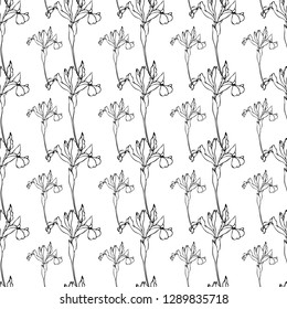 Seamless pattern. Black and white pattern. Pattern with irises. Contour drawing by hand. Can be used in the design of fabrics, Wallpaper, paper.