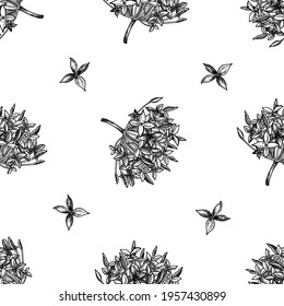 Seamless pattern with black and white ixora