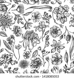 Seamless pattern with black and white japanese chrysanthemum, blackberry lily, eucalyptus flower, anemone, iris japonica, sakura