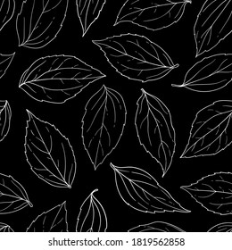 Seamless pattern black and white leaves background. Hand-drawn in sketch and doodle style. design background greeting cards and invitations seasonal autumn, spring, summer holidays
