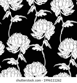 Patrón sin foco con una línea blanca negra Chrysanthemum Flores ornamento natural. Patrón floral sin fisuras sobre fondo blanco. Papel tapiz de flores de otoño.