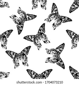 Seamless pattern with black and white madagascan sunset moth