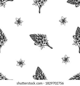 Seamless pattern with black and white ornithogalum