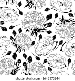 Ilustración de flores de peones blancos y negros sin problemas
