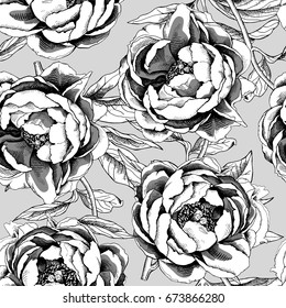 Seamless pattern with black and white Peony flowers and leaves on a gray background. Vector illustration.