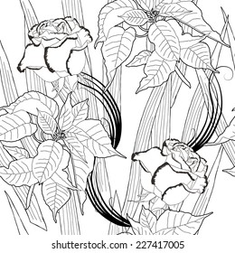 Seamless pattern with black and white poinsettia. Vector illustration