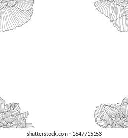 seamless pattern of black and white poppies.
