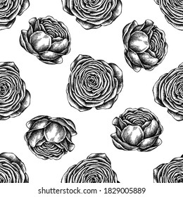 Seamless pattern with black and white ranunculus
