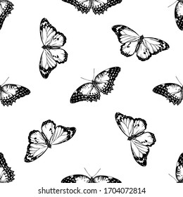 Seamless pattern with black and white red lacewing, plain tiger