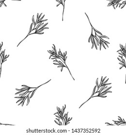 Seamless pattern with black and white rosemary