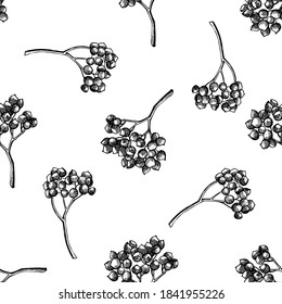 Seamless pattern with black and white rosemary everlasting