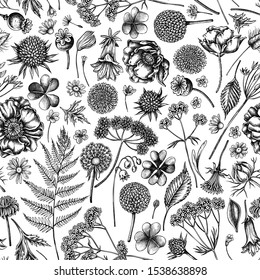 Seamless pattern with black and white shepherd's purse, heather, fern, wild garlic, clover, globethistle, gentiana, astilbe, craspedia, lagurus, black caraway, chamomile, dandelion, poppy flower, lily