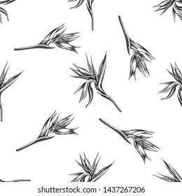 Seamless pattern with black and white strelitzia
