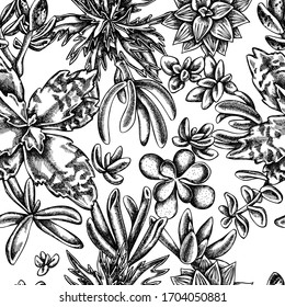 Seamless pattern with black and white succulent