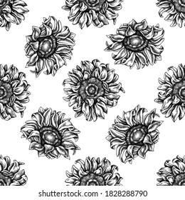 Patrón sin foco con girasol blanco y negro