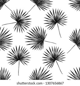 Seamless pattern with black and white trachycarpus