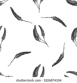 Seamless pattern with black and white veronica