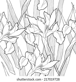 Seamless pattern  black and white.Iris. Vector illustration